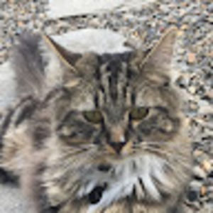 Meet your Posher, Audra